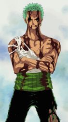 Rule 34 | 1boy, animated, animated gif, black eyes, blood, blood on face, blood on clothes, green hair, male focus, one piece, roronoa zoro, solo, tagme