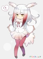Rule 34 | 10s, 1girl, arms at sides, bad id, bad pixiv id, bird tail, blunt bangs, buttons, character name, chibi, collar, copyright name, drawstring, expressionless, eyebrows, eyelashes, frilled sleeves, frills, full body, fur collar, gradient hair, grey background, head wings, heart, japanese crested ibis (kemono friends), jitome, kemono friends, long sleeves, looking away, mary janes, multicolored hair, o (tanutanu i), pantyhose, pleated skirt, red pantyhose, shirt, shoes, short hair, short hair with long locks, sidelocks, skirt, solo, standing, tail, two-tone hair, white hair, white shirt, wide sleeves, wings, yellow eyes