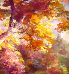 Rule 34 | autumn, autumn leaves, no humans, rwby, sae-midori, scenery, tagme, tree