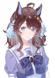 Rule 34 | 1girl, ahoge, animal ears, b qpyz, blue eyes, bow, bowtie, breasts, brown hair, closed mouth, daring tact (umamusume), hair bow, hair ornament, highres, horse ears, long hair, looking at viewer, purple shirt, sailor collar, school uniform, shirt, short sleeves, simple background, small breasts, smile, solo, tracen school uniform, twitter username, umamusume, upper body, watermark, white background
