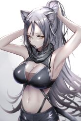 Rule 34 | 1girl, animal ears, arknights, armpits, arms up, bare arms, bare shoulders, black scarf, breasts, cat ears, cat tail, cleavage, commentary, crop top, gradient background, grey background, grey hair, hair between eyes, highres, large breasts, long hair, looking at viewer, midriff, mouth hold, navel, poni (poni arknights), ponytail, scarf, schwarz (arknights), solo, stomach, tail, upper body, very long hair, white background, yellow eyes