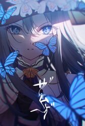 Rule 34 | 1girl, black gloves, black headwear, bloom, blue butterfly, blue eyes, blurry, bug, butterfly, depth of field, gloves, grey hair, hair between eyes, highres, immiscible discord (project sekai), insect, long hair, looking at viewer, official alternate costume, project sekai, samsa (vocaloid), solo, song name, translated, upper body, yoisaki kanade, yuki hare1130