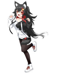 Rule 34 | 1girl, absurdres, animal ear fluff, animal ears, black choker, black hair, black hoodie, black shorts, blush, choker, claw pose, collarbone, fang, felutiahime, hair between eyes, hair ornament, hairclip, highres, hololive, hood, hoodie, leg up, long hair, long sleeves, looking at viewer, multicolored hair, ookami mio, ookami mio (casual), open mouth, pantyhose, paw print, red hair, shoes, shorts, sidelocks, simple background, sneakers, solo, streaked hair, tail, tail around own leg, two-tone hair, virtual youtuber, white background, white footwear, white hoodie, wolf ears, wolf girl, wolf tail, yellow eyes
