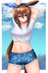 Rule 34 | 1girl, absurdres, admire vega (umamusume), animal ears, arms up, blue shorts, blue sky, border, breasts, brown hair, closed mouth, cloud, cloudy sky, commentary request, ear covers, gaze on me! outfit (umamusume), hair between eyes, highres, horse ears, horse girl, horse tail, long hair, m172/minatsu, medium breasts, midriff, navel, outdoors, outside border, ponytail, purple eyes, short sleeves, shorts, single ear cover, sky, smile, solo, stretching, tail, umamusume, white border