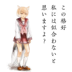 Rule 34 | 10s, 1girl, alternate costume, animal ear fluff, animal ears, blush, brown footwear, commentary request, d:, double horizontal stripe, fox ears, fox girl, fox tail, full body, half-closed eyes, jitome, kemono friends, kneehighs, large tail, light brown hair, loafers, long sleeves, looking at viewer, midriff peek, miniskirt, neckerchief, nose blush, open mouth, pink neckerchief, pleated skirt, red sailor collar, red skirt, sailor collar, school uniform, serafuku, shadow, shirt, shoes, short hair, skirt, sleeves past wrists, socks, solo, standing, stealstitaniums, stomach, tail, tibetan fox (kemono friends), translation request, white background, white shirt, white socks, yellow eyes
