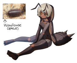 Rule 34 | 1girl, :&lt;, animal, antennae, arthropod girl, bad id, bad pixiv id, between legs, black sclera, brown hair, carapace, closed mouth, colored sclera, colored tips, dark-skinned female, dark skin, full body, gomulgong, hand between legs, highres, light brown hair, looking at viewer, monster girl, multicolored hair, orange eyes, original, personification, photo inset, pillbug, reference inset, short hair, simple background, sitting, solo, teardrop, two-tone hair, white background