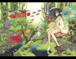 Rule 34 | 1girl, absurdres, angelfish, arowana, bare legs, bare shoulders, barefoot, between legs, black hair, blush, day, dress, fish, floating hair, flying fish, from side, gar (fish), hand between legs, highres, letterboxed, long hair, looking to the side, moss, nature, original, outdoors, purple eyes, reflection, seaweed, siamese fighting fish, sitting, sleeveless, sleeveless dress, solo, stream, surreal, traditional media, tree stump, tropical fish, umezakura, v arms, water