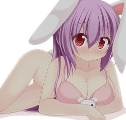 Rule 34 | 1girl, animal ears, bad id, bad pixiv id, blush, bottomless, bra, breasts, chimunge, cleavage, collarbone, female focus, large breasts, long hair, looking at viewer, lying, pink bra, purple hair, rabbit ears, rabbit girl, rabbit tail, red eyes, reisen udongein inaba, solo, tail, thigh gap, touhou, underwear, underwear only