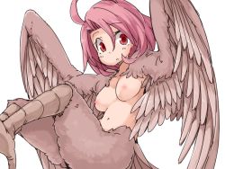 Rule 34 | 1girl, ahoge, bad id, bad pixiv id, bird tail, blush, breasts, brown feathers, claws, closed mouth, commentary, confused, feathered wings, feathers, female focus, flying, frfr, hair over shoulder, harpy, looking at viewer, medium breasts, monster girl, navel, nipples, no bra, nude, original, pink hair, red eyes, short hair, simple background, solo, surprised, tail, topless, white background, winged arms, wings