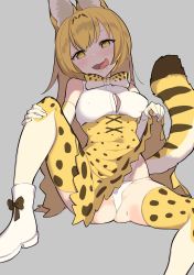 Rule 34 | 10s, 1girl, alternate hair length, alternate hairstyle, animal ears, bad id, bad twitter id, blonde hair, blush, bow, bowtie, breasts, cleavage, clothes lift, covered erect nipples, elbow gloves, gloves, grey background, high-waist skirt, highres, kemono friends, lifted by self, long hair, looking at viewer, multicolored clothes, multicolored gloves, multicolored neckwear, omucchan (omutyuan), open mouth, panties, print skirt, print thighhighs, saliva, seductive smile, serval (kemono friends), serval print, serval tail, shade, shirt, side-tie panties, simple background, sitting, skirt, skirt lift, sleeveless, sleeveless shirt, smile, solo, spread legs, sweat, tail, thighhighs, tongue, tongue out, underwear, very long hair, white bow, white bowtie, white footwear, white gloves, white shirt, white thighhighs, yellow bow, yellow bowtie, yellow eyes, yellow gloves, yellow skirt, yellow thighhighs