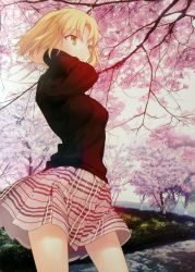 Rule 34 | 1girl, absurdres, ahoge, blonde hair, cherry blossoms, green eyes, highres, kyoto, original, skirt, solo, takeuchi takashi, tree