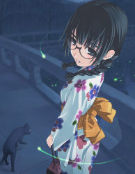 Rule 34 | 1girl, bad id, bad pixiv id, braid, bug, cat, fireflies, firefly, glasses, hair over shoulder, bug, japanese clothes, kimono, looking back, shimano natsume, solo, twin braids, twintails, yukata