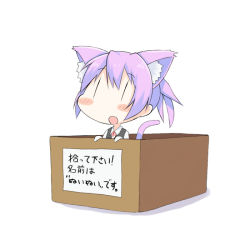 Rule 34 | 10s, 1girl, animal ears, blush, blush stickers, box, cardboard box, cat ears, cat tail, chibi, for adoption, gloves, in box, in container, kantai collection, kemonomimi mode, kurono nekomaru, looking up, open mouth, pink hair, ponytail, school uniform, shadow, shiranui (kancolle), short hair, simple background, solo, tail, vest, white background, | |