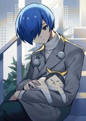 Rule 34 | 1boy, animal, black pants, blue eyes, blue hair, cat, closed eyes, closed mouth, commentary, english commentary, grey jacket, hair over one eye, headphones, headphones around neck, highres, jacket, kuki tan, long sleeves, looking at another, male focus, one eye covered, pants, persona, persona 3, pocket, short hair, sitting, stairs, sweater, turtleneck, turtleneck sweater, white sweater, yuuki makoto (persona 3)