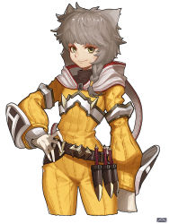 Rule 34 | 1girl, alternate hairstyle, animal ears, artist request, bodysuit, braid, cat ears, gloves, highres, looking at viewer, nia (xenoblade), nintendo, silver hair, simple background, smile, solo, white gloves, xenoblade chronicles (series), xenoblade chronicles 2, xenoblade chronicles (series), xenoblade chronicles 2, yellow bodysuit, yellow eyes