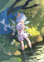 Rule 34 | 1girl, animal, barefoot, blue bow, blue eyes, blue hair, bow, cirno, collared shirt, detached wings, fairy, flower, food, frog, hair between eyes, hair bow, hair flower, hair ornament, highres, holding, holding food, ice, ice wings, ko kita, lily pad, morning glory, mushroom, pink flower, popsicle, puffy short sleeves, puffy sleeves, shirt, short hair, short sleeves, shorts, sitting, solo, touhou, water, watermelon bar, white flower, white shirt, white shorts, wings, yellow flower
