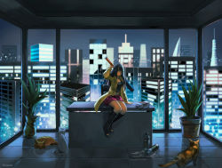 Rule 34 | 1girl, baseball bat, black hair, blunt bangs, boots, brown eyes, cat, city lights, cityscape, indoors, jacket, long hair, looking at viewer, midriff, muraicchi (momocchi), night, open clothes, open jacket, original, plant, potted plant, sitting, solo