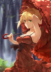 Rule 34 | 10s, 1girl, arm up, armpits, bad id, bad pixiv id, blonde hair, blurry, breasts, cleavage, closed mouth, day, depth of field, fate/extra, fate (series), green eyes, hana mori, hand up, highres, looking at viewer, medium breasts, nero claudius (fate), nero claudius (fate) (all), nero claudius (fate/extra), official alternate costume, outdoors, sidelocks, smile, solo, umbrella, upper body