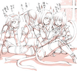 Rule 34 | 00s, animal ears, cat ears, cat tail, drinking, eating, final fantasy, final fantasy xi, hiccup, mithra (ff11), reading, short hair, tail, takatsuki kahiro, translated
