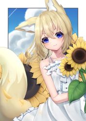 Rule 34 | 1girl, absurdres, animal ear fluff, animal ears, bare arms, bare shoulders, blonde hair, blue eyes, blue sky, blush, bow, center frills, closed mouth, cloud, collarbone, contrail, day, dress, eyebrows hidden by hair, flower, fox ears, fox girl, fox tail, frilled dress, frills, hair between eyes, highres, hinata (user rjkt4745), long hair, looking at viewer, original, sky, sleeveless, sleeveless dress, smile, solo, sunflower, tail, white bow, white dress, yellow flower