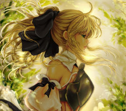 Rule 34 | 1girl, ahoge, armor, artoria pendragon (fate), bare shoulders, blonde hair, breastplate, capcom, detached sleeves, fate/stay night, fate/unlimited codes, fate (series), green eyes, hair ribbon, leaf, lips, long hair, manbosakuranbo, ponytail, profile, revision, ribbon, saber (fate), saber lily, solo