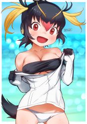 Rule 34 | 1girl, :d, bare shoulders, black hair, blonde hair, breasts, cleavage, clothes pull, commentary, covered erect nipples, cowboy shot, hair between eyes, headphones, highres, kemono friends, looking at viewer, masuyama ryou, medium breasts, multicolored hair, off shoulder, open mouth, panties, red eyes, red hair, rockhopper penguin (kemono friends), shirt pull, short hair, smile, solo, tail, two side up, underwear, water drop, wet, white panties