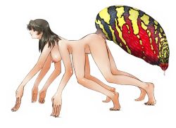 Rule 34 | 1girl, arthropod girl, artist request, black hair, breasts, brown eyes, crawling, extra arms, hanging breasts, highres, insect girl, large breasts, long hair, monster girl, multi arm, multi leg, multiple legs, nipples, nude, simple background, solo, spider girl, what, white background