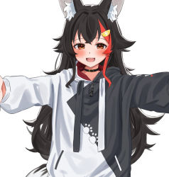 Rule 34 | 1girl, :d, animal ear fluff, animal ears, black choker, black hair, black hoodie, blush, brown eyes, choker, commentary request, daichi (daichi catcat), hair ornament, hairclip, highres, hololive, hood, hoodie, incoming hug, long hair, long sleeves, looking at viewer, multicolored hair, ookami mio, ookami mio (casual), open mouth, outstretched arms, red hair, simple background, smile, solo, streaked hair, two-tone hoodie, upper body, virtual youtuber, white background, white hoodie, wolf ears