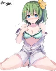 Rule 34 | 1girl, bare shoulders, blue eyes, blush, bra, colorized, daiyousei, flying sweatdrops, green bra, green hair, hair ornament, hair ribbon, hairclip, long sleeves, looking at viewer, no pants, no wings, off shoulder, panties, ribbon, shirt, short hair, side ponytail, simple background, sitting, sketch, solo, touhou, twitter username, unbuttoned, underwear, white background, wowoguni