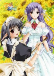 Rule 34 | 00s, 2girls, :d, ai (tick! tack!), apron, black dress, black hair, brown hair, collarbone, copyright name, detached collar, detached sleeves, dress, floral background, flower, frills, half updo, highres, looking at viewer, looking back, maid headdress, multiple girls, official art, open mouth, pointy ears, sage (tick! tack!), shuffle!, smile, standing, strapless, strapless dress, sunflower, suzuhira hiro, tick! tack!, white dress