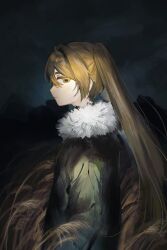 Rule 34 | 1girl, :|, arms at sides, blonde hair, closed mouth, cowboy shot, dark, expressionless, from side, fur-trimmed jacket, fur trim, green jacket, hair between eyes, hair intakes, highres, inu dakisime, jacket, long hair, long sleeves, looking at viewer, night, original, outdoors, profile, sidelocks, sideways glance, solo, twintails, very long hair, wheat field, yellow eyes