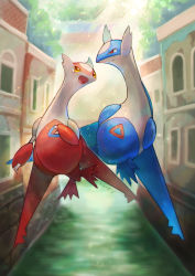 Rule 34 | building, canal, closed mouth, commentary request, creatures (company), day, eye contact, flying, game freak, gen 3 pokemon, highres, kikuyoshi (tracco), latias, latios, legendary pokemon, looking at another, nintendo, no humans, open mouth, outdoors, pokemon, pokemon (creature), signature, smile, tongue, yellow eyes