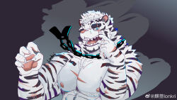 Rule 34 | 1boy, absurdres, animal ears, arknights, bara, dog tags, finger in own mouth, furry, furry male, hands up, highres, huge eyebrows, large pectorals, lonkri, looking at viewer, male focus, mountain (arknights), muscular, muscular male, nipples, nude, pectorals, scar, scar across eye, short hair, solo, tiger boy, tiger ears, upper body