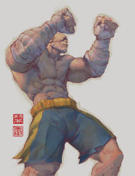 Rule 34 | 1boy, abs, bald, bandaged arm, bandages, blue shorts, eyepatch, fighting stance, highres, large pectorals, male focus, mature male, muscular, muscular male, navel, pectorals, sagat, shorts, solo, stomach, street fighter, topless male, will murai, wrestling outfit