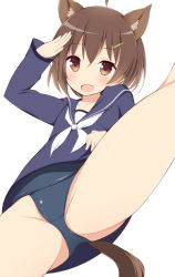 Rule 34 | 10s, 1girl, ahoge, animal ears, blush, brave witches, brown eyes, brown hair, hairclip, karibuchi hikari, leg lift, open mouth, ponpon (tosico), salute, serafuku, short hair, strike witches, swimsuit, swimsuit under clothes, tail, thighs, world witches series