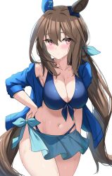 Rule 34 | 1girl, absurdres, admire vega (umamusume), animal ears, bikini, blue bikini, blush, breasts, brown hair, closed mouth, collarbone, ear covers, hand on own hip, highres, horse ears, horse girl, horse tail, kibihimi, large breasts, long hair, looking at viewer, red eyes, simple background, single ear cover, solo, standing, sweat, swimsuit, tail, thighs, umamusume, white background