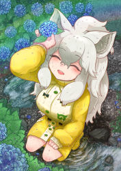 Rule 34 | ^ ^, absurdres, animal ears, arm rest, arm up, bad id, bad pixiv id, boots, closed eyes, day, closed eyes, flower, from above, full body, grey hair, hair between eyes, hand rest, highres, holding, holding flower, hydrangea, kemono friends, komeiponkiti, lion ears, long hair, long sleeves, open mouth, outdoors, puddle, rain, raincoat, rubber boots, smile, solo, water, water drop, wet, wet clothes, wet face, wet hair, white lion (kemono friends)