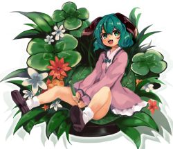 Rule 34 | 1girl, ameyu (rapon), animal ears, bad id, bad twitter id, clover, commentary, dog ears, dress, flower, flower request, four-leaf clover, grass, green eyes, green hair, highres, jasmine (flower), kasodani kyouko, leaf, long sleeves, looking at viewer, open mouth, pink dress, shoes, short hair, sitting, socks, solo, teeth, tongue, touhou, white socks