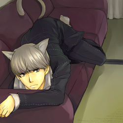 Rule 34 | 1boy, animal ears, atlus, cat boy, cat ears, cat tail, couch, grey hair, indoors, looking at viewer, lowres, male focus, narukami yuu, persona, persona 4, school uniform, solo, tail