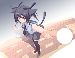 Rule 34 | 1girl, animal ears, black hair, black thighhighs, cat ears, cat tail, disembodied hand, dress, grey dress, holding hands, loafers, more (strong oppai), necktie, ribbon, school uniform, serafuku, shoes, short hair, smile, solo focus, tail, thighhighs, yellow eyes