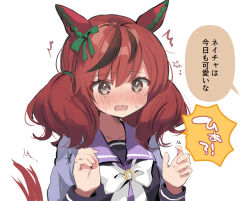 Rule 34 | ^^^, animal ears, blush, bow, breasts, brown eyes, brown hair, ear bow, green bow, hair between eyes, hands up, horse ears, horse girl, horse tail, long sleeves, medium breasts, multicolored hair, nanahamu, nice nature (umamusume), nose blush, open mouth, purple shirt, shirt, simple background, streaked hair, sweat, tail, translation request, twintails, umamusume, wavy mouth, white background, white bow