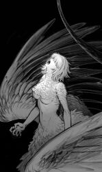 Rule 34 | 1girl, bird legs, bird wings, breasts, deerwhisky, dungeon meshi, falin touden, feathered wings, feathers, greyscale, hair over eyes, highres, medium breasts, monochrome, monster girl, navel, open mouth, short hair, wings