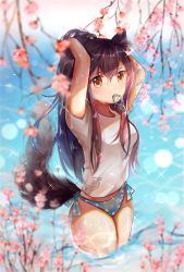Rule 34 | 1girl, alternate hairstyle, animal ear fluff, animal ears, arknights, arms up, bikini, bikini bottom only, black hair, blue bikini, blurry, blurry foreground, blush, breasts, brown eyes, chinese commentary, commentary request, cowboy shot, flower, hair between eyes, hair tie in mouth, highres, lens flare, long hair, looking at viewer, medium breasts, midriff peek, mouth hold, no pants, pink flower, polka dot, polka dot bikini, polka dot bikini bottom, ponytail, shirt, short sleeves, solo, sparkle, standing, sweat, swimsuit, tail, texas (arknights), thighs, tying hair, wading, water, white shirt, wolf ears, wolf tail, yoizora