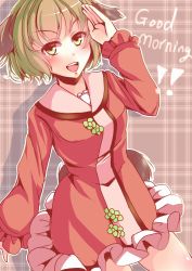 Rule 34 | 1girl, :d, animal ears, dress, dutch angle, english text, green eyes, green hair, highres, kanzakietc, kasodani kyouko, long sleeves, looking at viewer, matching hair/eyes, open mouth, outline, pink dress, plaid, plaid background, salute, shadow, short hair, smile, solo, tail, touhou