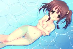 Rule 34 | 10s, 1girl, blush, breasts, brown eyes, brown hair, crossed arms, hair bobbles, hair ornament, idolmaster, idolmaster cinderella girls, image sample, navel, nipples, nude, ogata chieri, pixiv sample, pussy, small breasts, solo, twintails, uncensored, v vob, water, wet