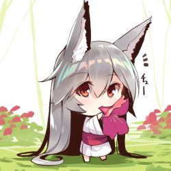 Rule 34 | 1girl, absurdly long hair, animal ears, barefoot, blush, chibi, day, flower, flower in mouth, fox ears, fox girl, hair between eyes, japanese clothes, kimono, long hair, long sleeves, looking at viewer, mouth hold, notice lines, obi, original, outdoors, purple flower, red eyes, sash, silver hair, solo, standing, very long hair, white kimono, wide sleeves, yuuji (yukimimi)