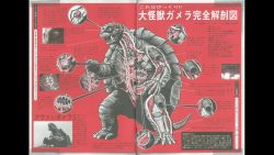 Rule 34 | anatomy, artist request, avant gamera, baby, biology, body markings, bone, brain, chart, cross-section, daiei film, diagram, dual persona, gamera, gamera (series), gamera the brave, glowing, glowing markings, heart, highres, japanese text, kadokawa, kaijuu, lungs, multiple stomachs, neon trim, official art, organs, reincarnation, science, science fiction, sea monster, shell, skeleton, stomach, tail, toto (gamera), translation request, turtle, turtle shell, tusks, x-ray