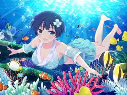 Rule 34 | 1girl, bare legs, bare shoulders, barefoot, blue eyes, blue hair, breasts, bubble, cleavage, coral, diving, feet, fish, flower, hair flower, hair ornament, highres, japanese clothes, large breasts, legs, legs together, looking at viewer, ocean, open mouth, seaweed, senran kagura, short hair, solo, swimming, swimsuit, swimsuit skirt, underwater, yozakura (senran kagura)
