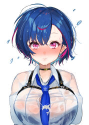 Rule 34 | 1girl, absurdres, alternate breast size, black bra, black choker, blue hair, blue necktie, blush, bra, bra visible through clothes, breasts, chest belt, choker, closed mouth, collared shirt, dolphin pendant, dress shirt, dripping, embarrassed, fang, fang out, hair between eyes, highres, kanpancake, large breasts, long sleeves, looking at viewer, multicolored hair, necktie, nijisanji, nishizono chigusa, nishizono chigusa (4th costume), nose blush, open clothes, open shirt, parted bangs, pink hair, purple eyes, red hair, see-through, shirt, simple background, skin fang, solo, streaked hair, suspenders, underwear, upper body, virtual youtuber, water drop, wet, wet clothes, white background, white shirt, wing collar