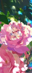Rule 34 | 1girl, absurdres, aqua eyes, blue sky, branch, choker, closed mouth, commentary request, dappled sunlight, day, elbow rest, flower, flower request, frills, gloves, hair ribbon, happy, head rest, highres, kaname madoka, leaf, light blush, light smile, looking at viewer, mahou shoujo madoka magica, mahou shoujo madoka magica (anime), mihifu, mini person, minigirl, multicolored eyes, orange eyes, outdoors, oversized flower, oversized object, pink eyes, pink flower, pink ribbon, puffy short sleeves, puffy sleeves, purple eyes, red choker, red eyes, red neckwear, ribbon, short sleeves, short twintails, sky, solo, soul gem, sunlight, tareme, twintails, white gloves, wide shot, yellow eyes